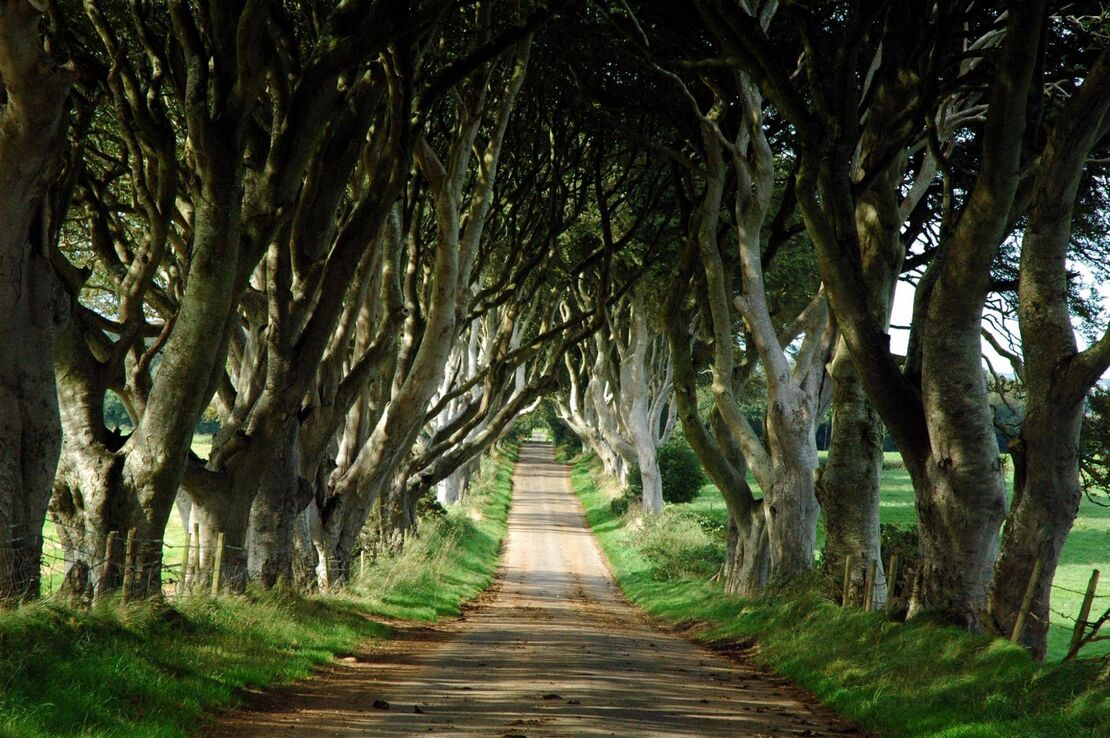 Game_of_Thrones_Tour_from_Belfast_with_Giant’s_Causeway