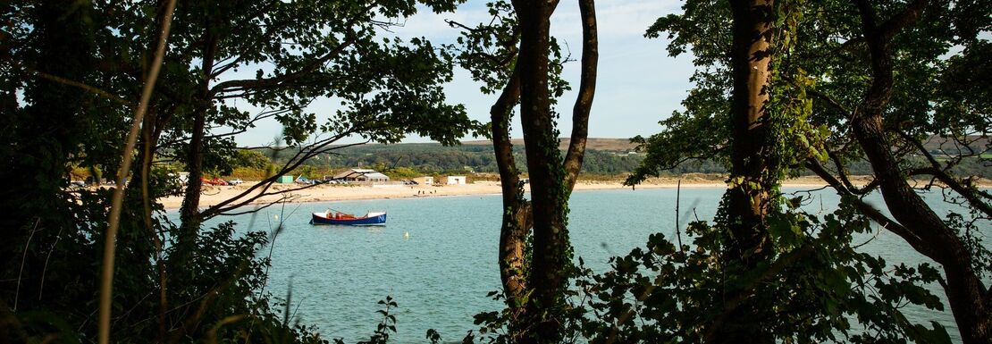 A boat sailing on the water in the distance can be seen through the trees