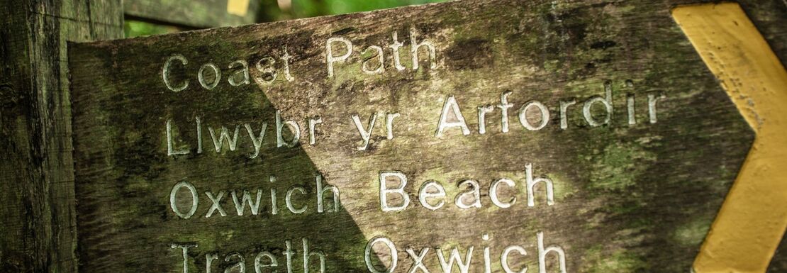 A sign displays the coastal path for walker in Wales