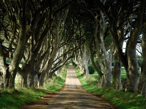 Game_of_Thrones_Tour_from_Belfast_with_Giant’s_Causeway