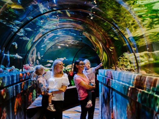 Two women walk carrying children underneath a giant glass aquarium