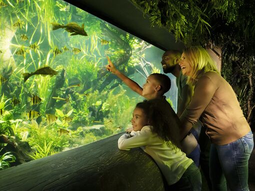 A mother and kids enjoying the underwater aquarium sights through glass