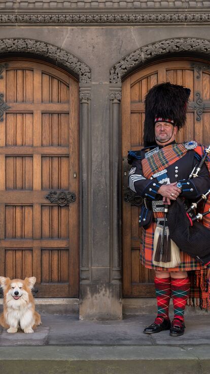 Dog and a Scottish piper standing in front of two wooden doors