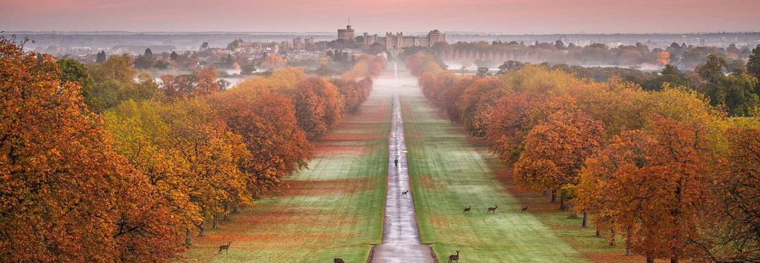 windsor castle and garden