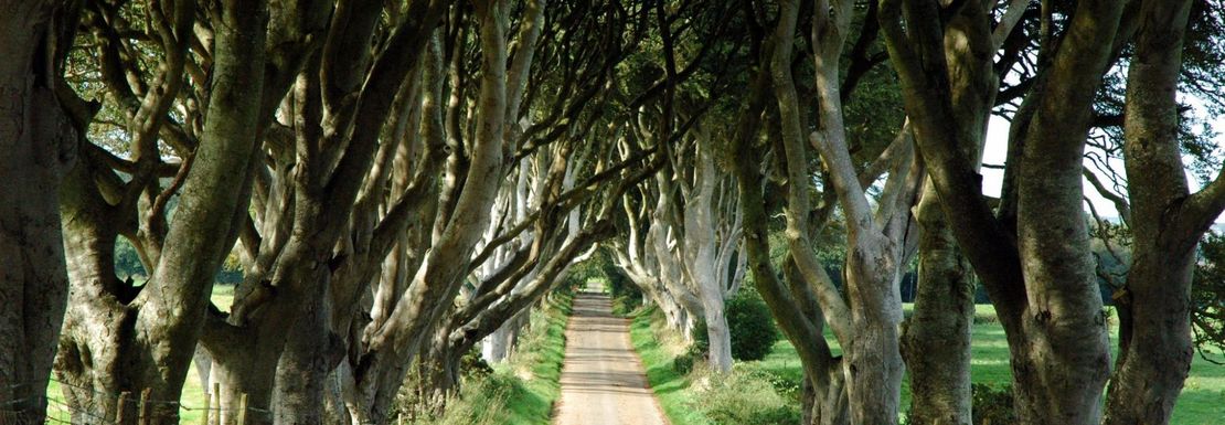 Game_of_Thrones_Tour_from_Belfast_with_Giant’s_Causeway