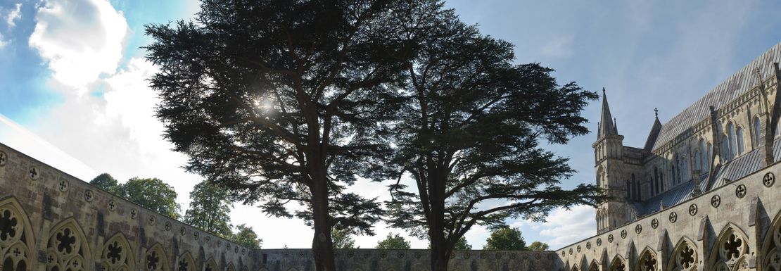 Salisbury Cathedral and the 1215 Magna Carta _ Golden Tours 25