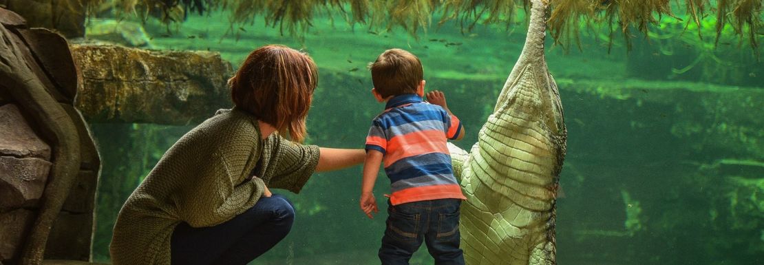 Chester Zoo - Chester Zoo 03.jpg