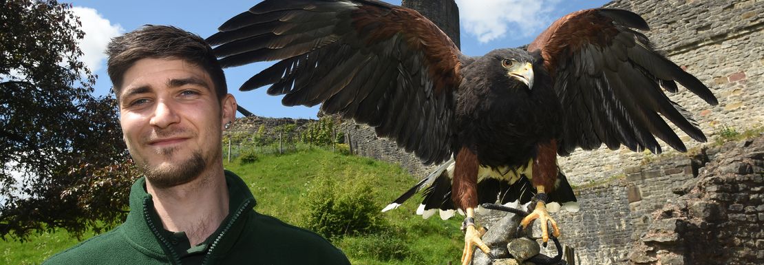 A bird of prey spreads its wings next to a Dudley Zoo worker on a sunny day