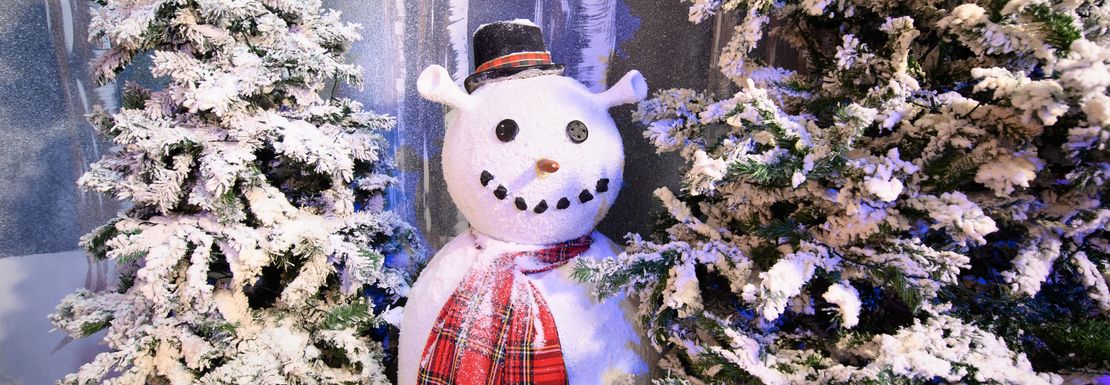 A snowman with distinctive Shrek shaped ears smiles in between large snow laced Christmas trees