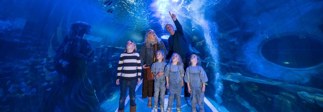 A family walks through an aquarium tunnel with sea life all around them