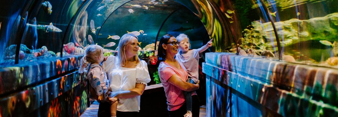 Two women walk carrying children underneath a giant glass aquarium