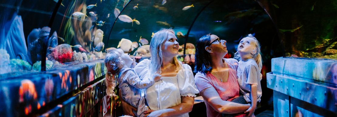 Two women walk carrying children underneath a giant glass aquarium