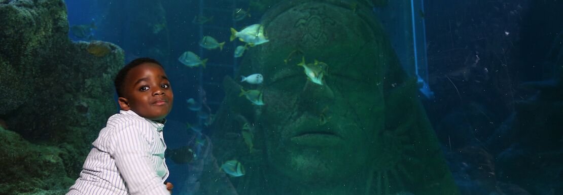 A young child smiles at the sight of fish swimming behind the aquarium glass