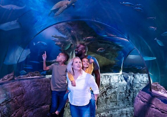 A couple with young children look up at the glass aquarium right above their heads